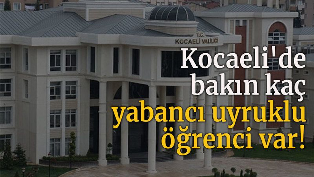 Kocaeli'de bakın kaç yabancı uyruklu öğrenci var!